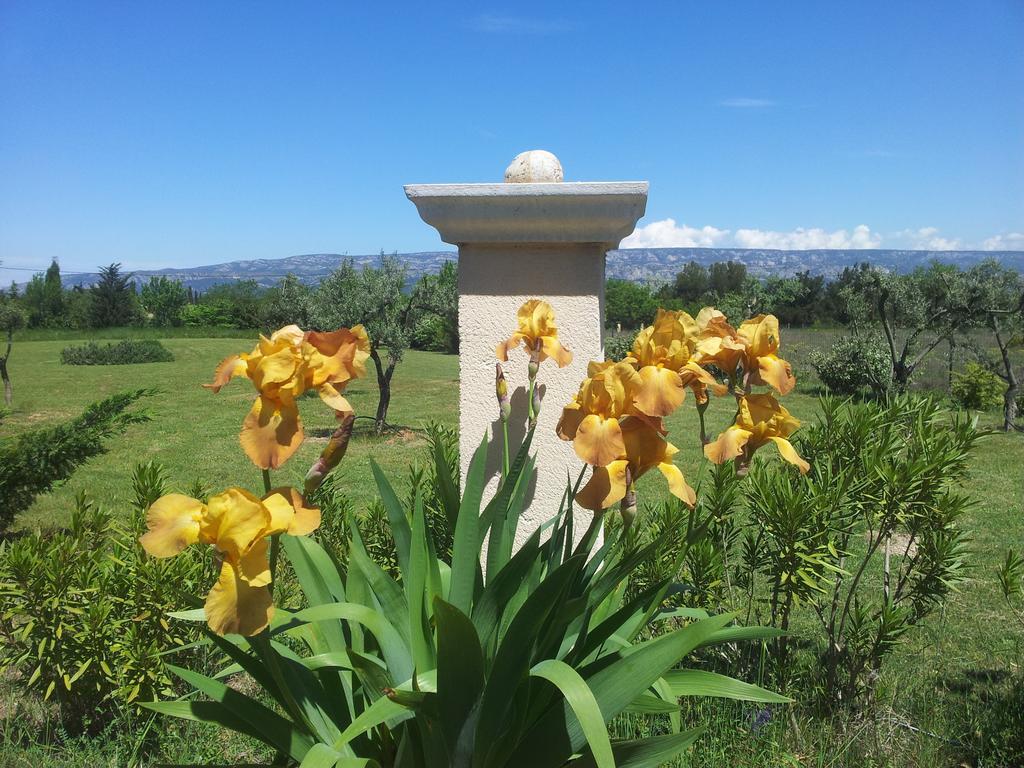 Lamanderie En Provence Bed and Breakfast Alleins Buitenkant foto